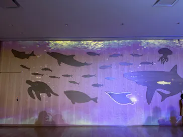 仙台うみの杜水族館に投稿された画像（2024/8/9）