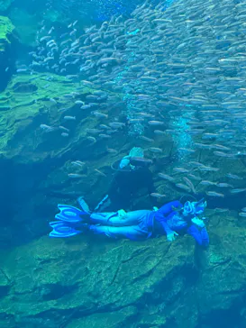 仙台うみの杜水族館に投稿された画像（2024/8/9）