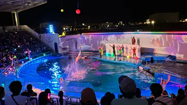 仙台うみの杜水族館に投稿された画像（2024/8/9）