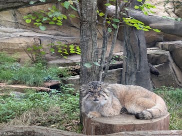 那須どうぶつ王国に投稿された画像（2024/8/9）
