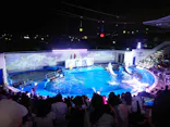仙台うみの杜水族館に投稿された画像（2024/8/9）