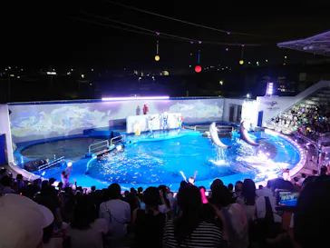 仙台うみの杜水族館に投稿された画像（2024/8/9）
