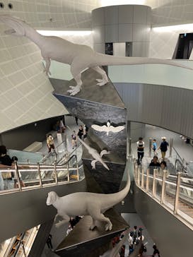 福井県立恐竜博物館に投稿された画像（2024/8/9）