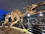 福井県立恐竜博物館に投稿された画像（2024/8/10）