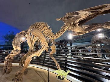 福井県立恐竜博物館に投稿された画像（2024/8/9）