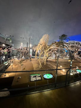福井県立恐竜博物館に投稿された画像（2024/8/9）