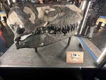 福井県立恐竜博物館に投稿された画像（2024/8/9）