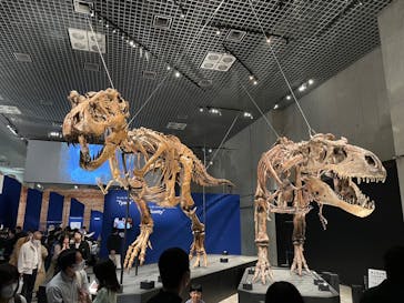 福井県立恐竜博物館に投稿された画像（2024/8/9）