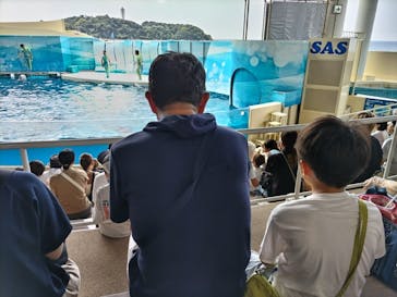 新江ノ島水族館に投稿された画像（2024/8/9）
