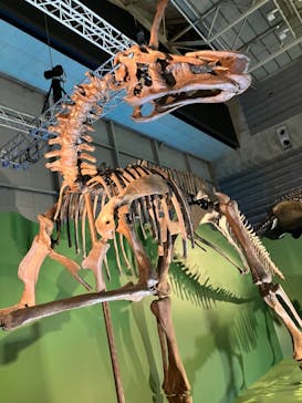 巨大恐竜展2024に投稿された画像（2024/8/9）