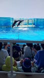 新江ノ島水族館に投稿された画像（2024/8/10）