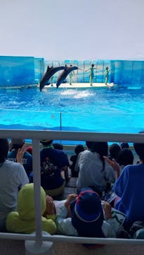 新江ノ島水族館に投稿された画像（2024/8/9）