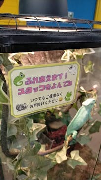 いきもの探検隊上尾に投稿された画像（2024/8/9）