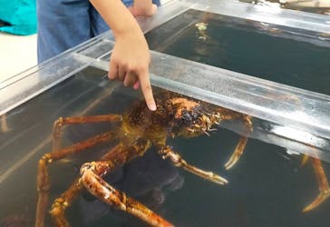 いきもの探検隊上尾に投稿された画像（2024/8/9）