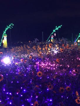 せんだい農業園芸センター　みどりの杜に投稿された画像（2024/8/9）