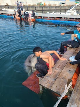 ドルフィンファンタジーに投稿された画像（2024/8/9）