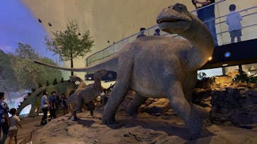 福井県立恐竜博物館に投稿された画像（2024/8/9）