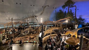 福井県立恐竜博物館に投稿された画像（2024/8/9）