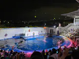 仙台うみの杜水族館に投稿された画像（2024/8/10）