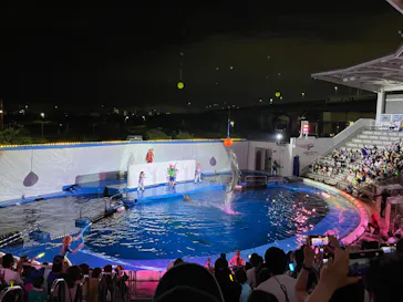 仙台うみの杜水族館に投稿された画像（2024/8/9）