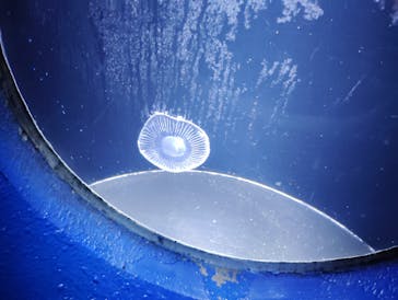 のとじま水族館に投稿された画像（2024/8/9）