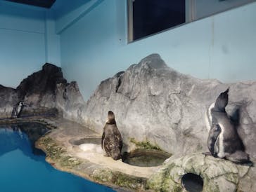 のとじま水族館に投稿された画像（2024/8/9）