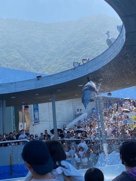 大分マリーンパレス水族館 「うみたまご」に投稿された画像（2024/8/10）