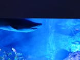すみだ水族館に投稿された画像（2024/8/10）