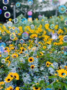 せんだい農業園芸センター　みどりの杜に投稿された画像（2024/8/10）