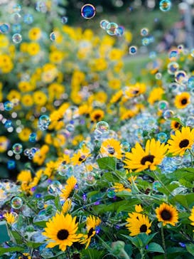 せんだい農業園芸センター　みどりの杜に投稿された画像（2024/8/10）