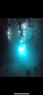 武藤潜水に投稿された画像（2024/8/10）