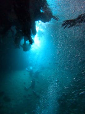 沖縄マリンサービス碧に投稿された画像（2024/8/10）