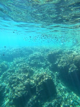 沖縄マリンサービス碧に投稿された画像（2024/8/10）