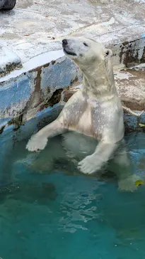 天王寺動物園に投稿された画像（2024/8/10）