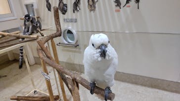 アニタッチららぽーと名古屋みなとアクルスに投稿された画像（2024/8/10）