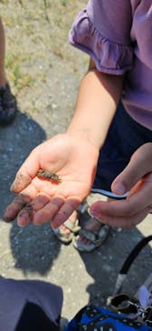 葛西臨海水族園に投稿された画像（2024/8/10）