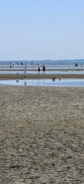 葛西臨海水族園に投稿された画像（2024/8/10）