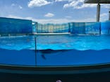 新江ノ島水族館に投稿された画像（2024/8/10）