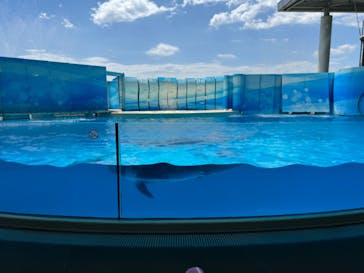 新江ノ島水族館に投稿された画像（2024/8/10）
