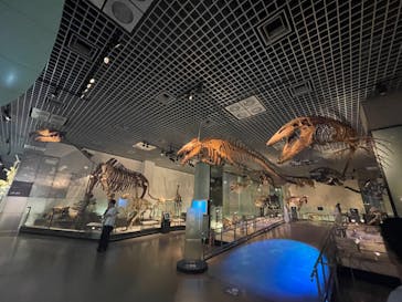国立科学博物館に投稿された画像（2024/8/10）