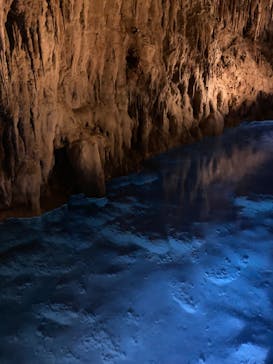 おきなわワールドに投稿された画像（2024/8/10）