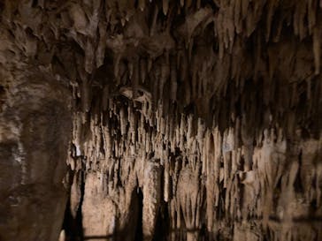 おきなわワールドに投稿された画像（2024/8/10）