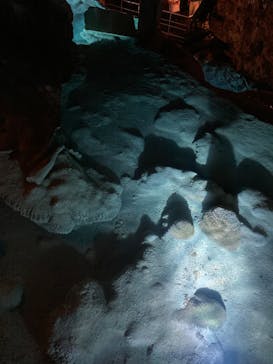 おきなわワールドに投稿された画像（2024/8/10）