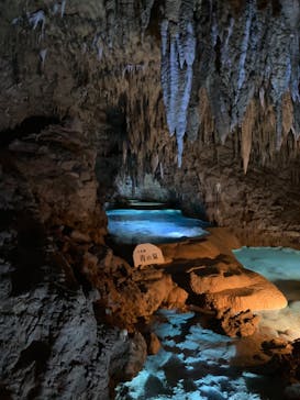 おきなわワールドに投稿された画像（2024/8/10）