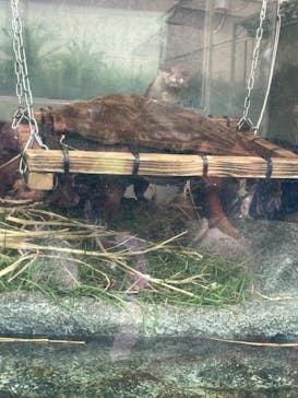 サンシャイン水族館に投稿された画像（2024/8/10）