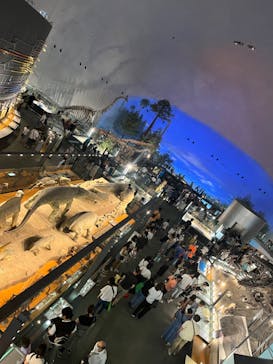 福井県立恐竜博物館に投稿された画像（2024/8/10）