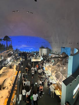 福井県立恐竜博物館に投稿された画像（2024/8/10）