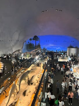 福井県立恐竜博物館に投稿された画像（2024/8/10）