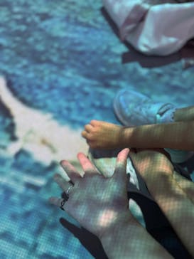 モネ＆フレンズ・アライブに投稿された画像（2024/8/10）