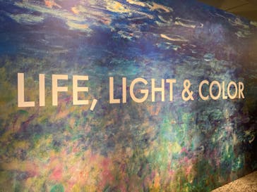 モネ＆フレンズ・アライブに投稿された画像（2024/8/10）